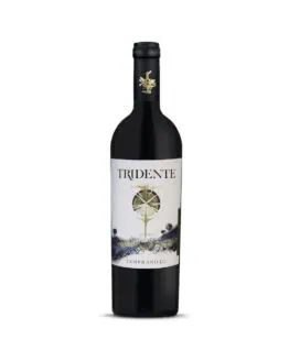 Tridente Tempranillo 2018 copy