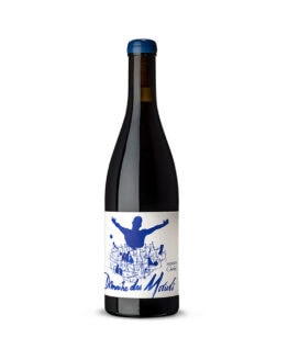 Domaine des Moriers Morgon-1 Domaine des Moriers Morgon-1