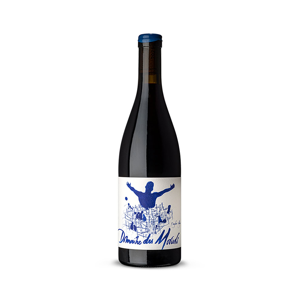 Domaine des Moriers Beaujolais Villages 2022